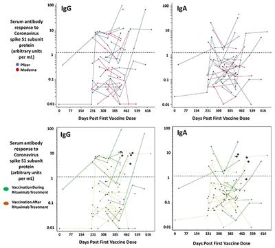 The immune response to Covid-19 mRNA vaccination among Lymphoma patients receiving anti-CD20 treatment